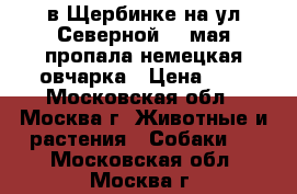 в Щербинке на ул.Северной 03 мая пропала немецкая овчарка › Цена ­ 5 - Московская обл., Москва г. Животные и растения » Собаки   . Московская обл.,Москва г.